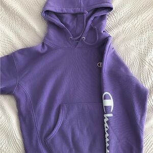 Champion Script Sleeve Hoodie Sweatshirt